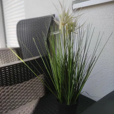 Apartment Lux *