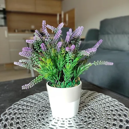 Lux Soko Banja